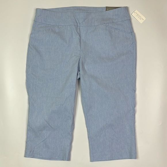 Christopher & Banks Modern Blue Capri Pants Size 16 NWT - Picture 1 of 13